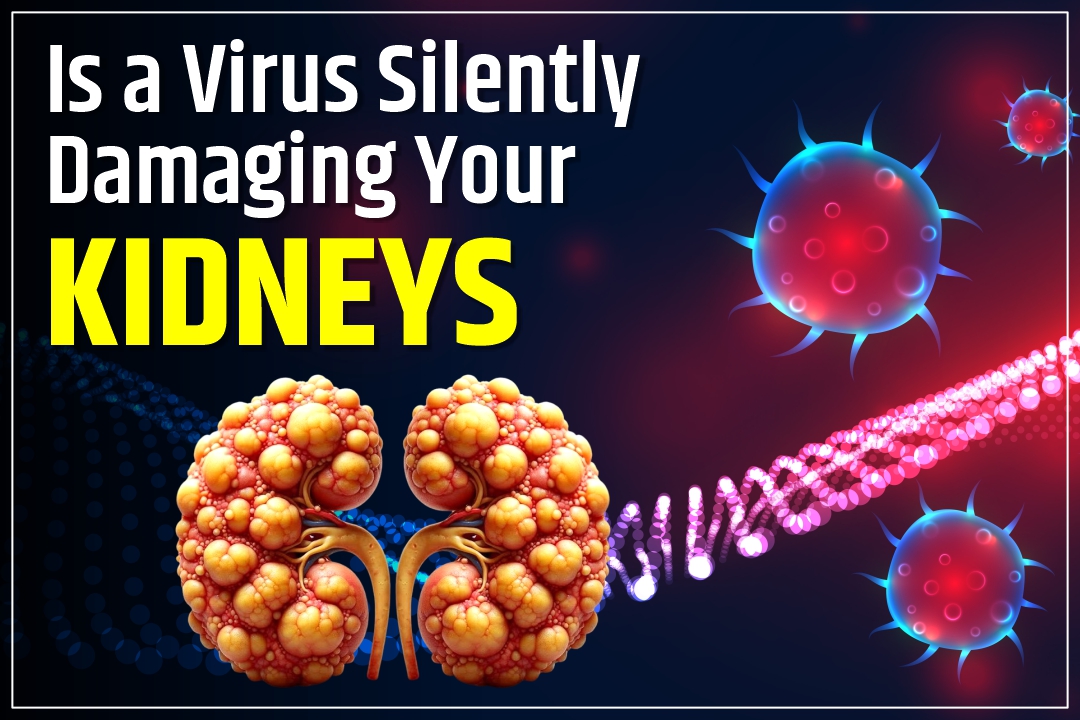 Is a Virus Silently Damaging Your Kidneys? The 2025 Rundown